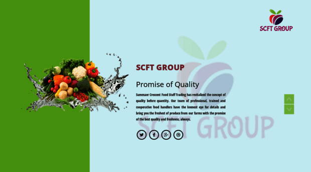 scftgroup.com