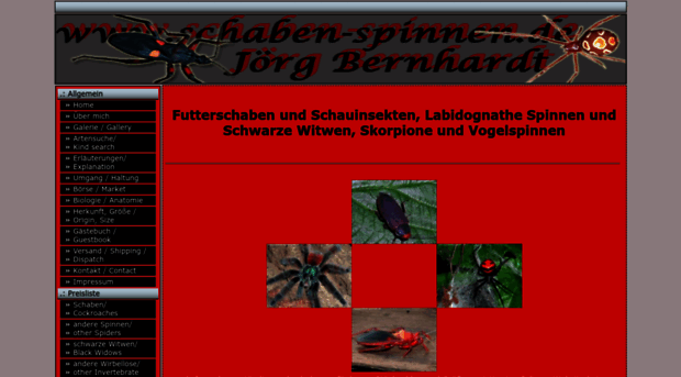schaben-spinnen.de