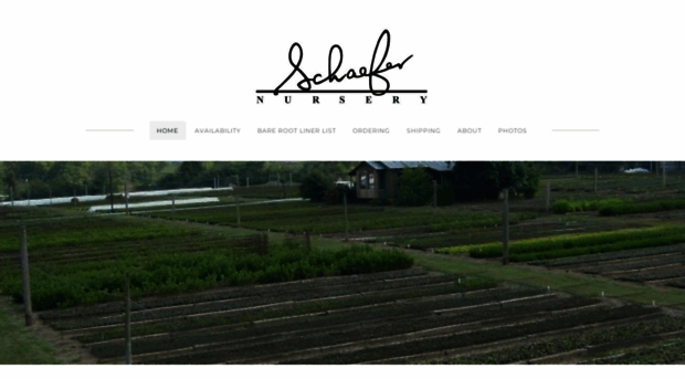 schaefernursery.com