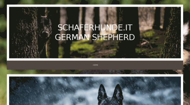 schaferhunde.it