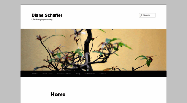 schafferblog.wordpress.com