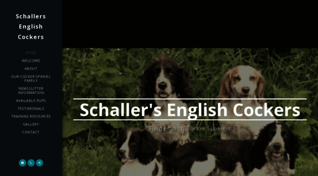 schallersenglishcocker.com