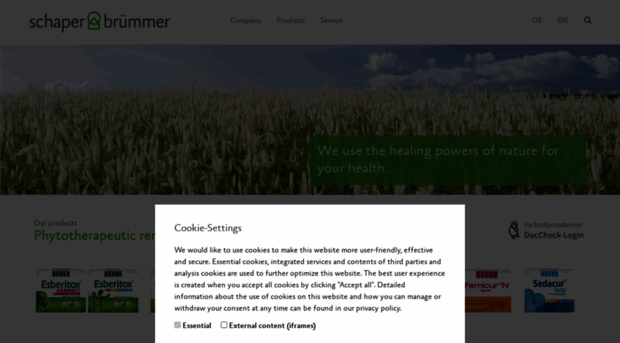 schaper-bruemmer.com