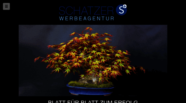 schatzer.it