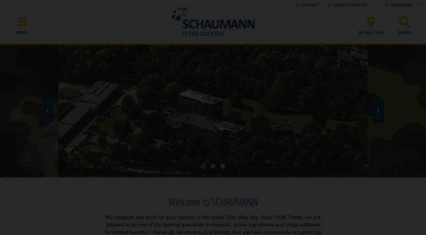 schaumann.info