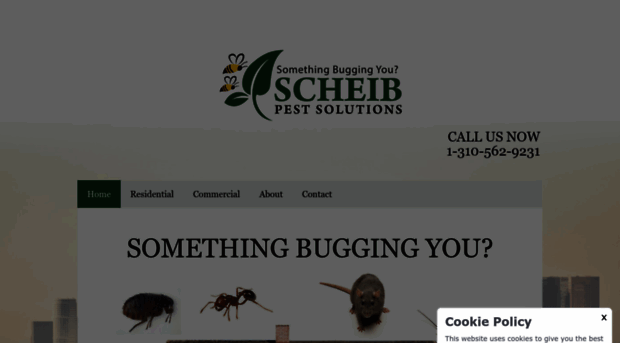 scheibpest.com