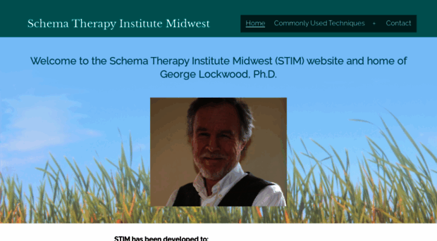 schematherapymidwest.com