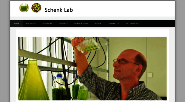 schenklab.com