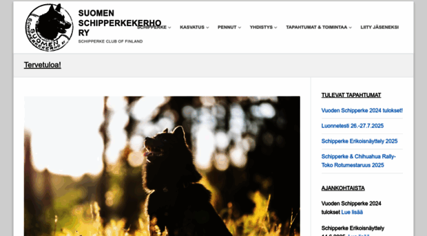 schipperke.fi