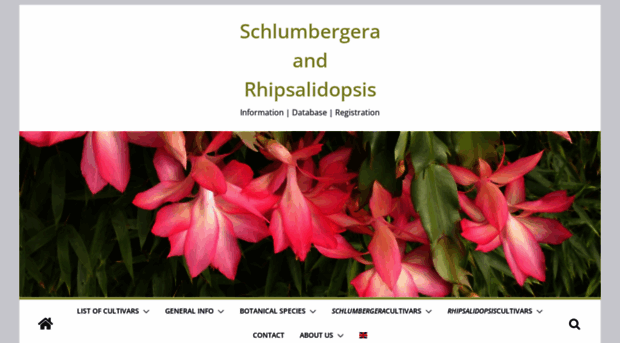 schlumbergera.net