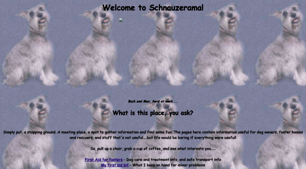 schnauzerama.org