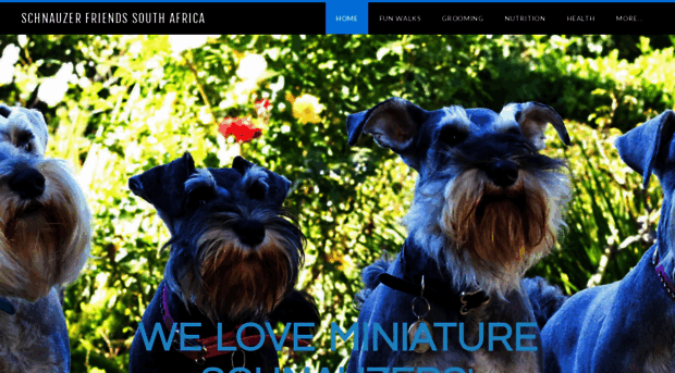 schnauzerfriendsza.com