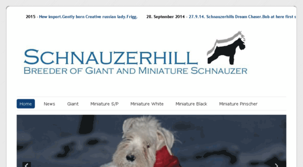 schnauzerhill.com