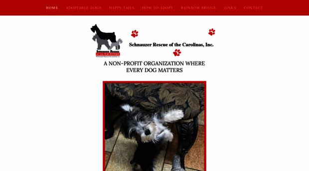 schnauzerrescueofthecarolinas.org