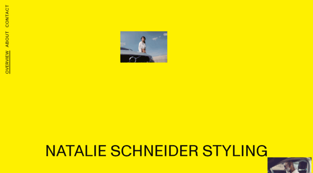 schneiderstyling.com