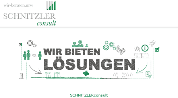 schnitzler-consult.com