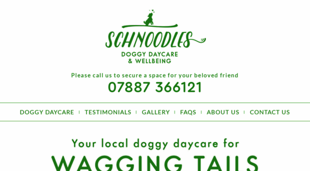 schnoodlesdoggydaycare.co.uk