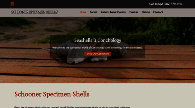 schnr-specimen-shells.com