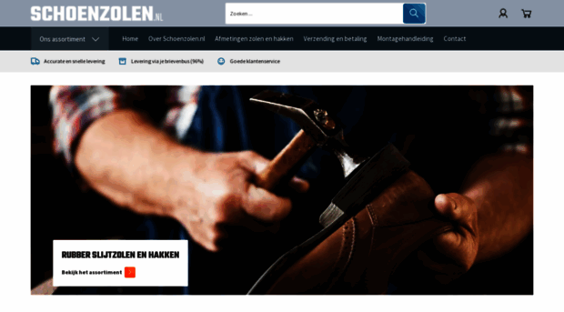 schoenzolen.nl