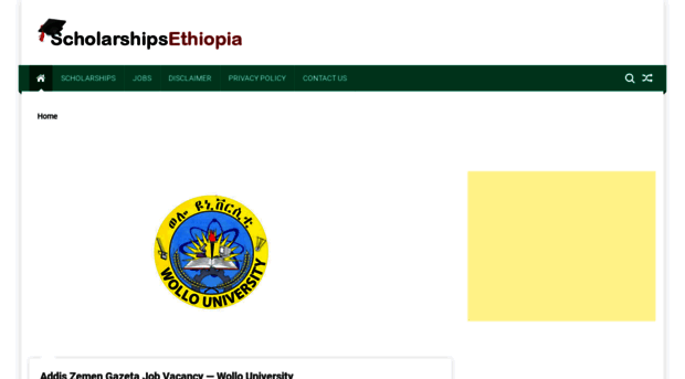 scholarshipsethiopia.com