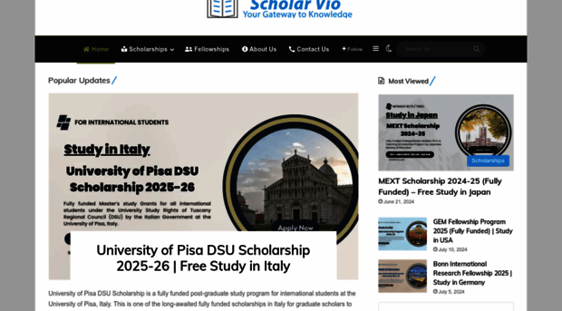 scholarvio.com