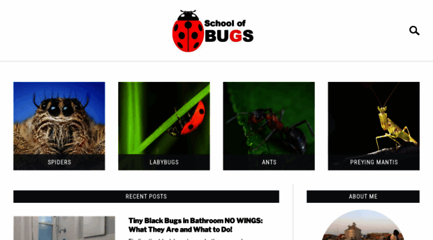 schoolofbugs.com