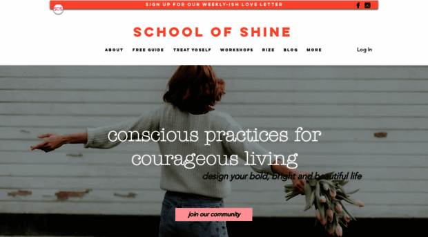 schoolofshine.com