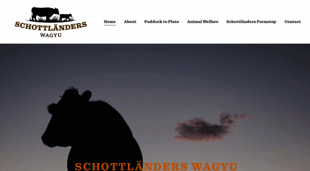 schottlanderswagyu.com.au