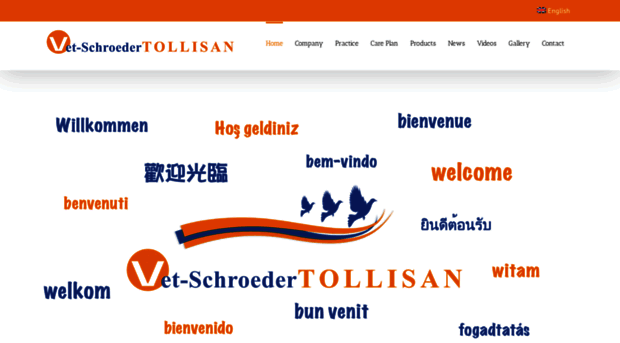 schroeder-tollisan.com