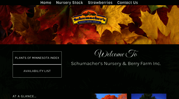 schumachersnursery.com