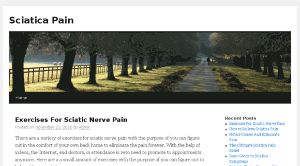 sciatica-pain.us