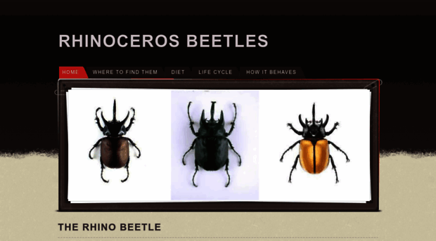 science6brhinocerosbeetle.weebly.com