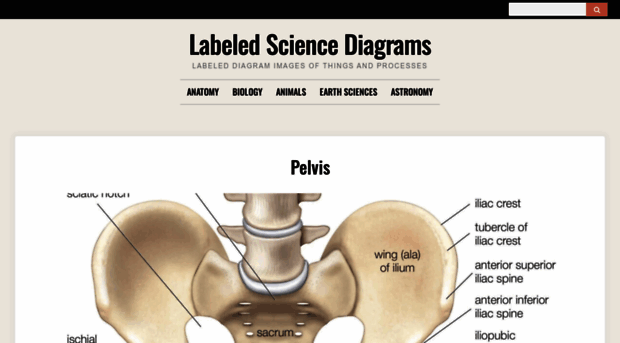 sciencediagrams.com