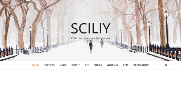 sciliy.com