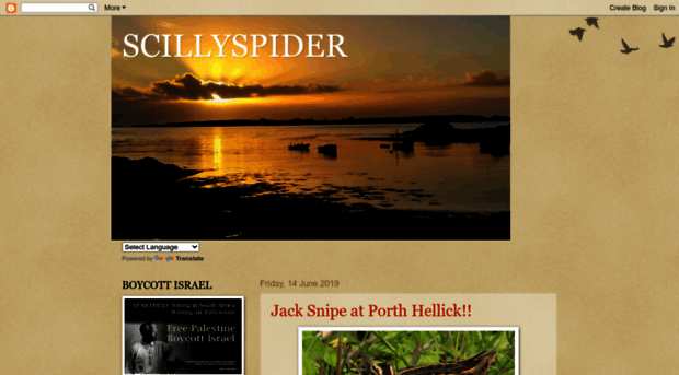 scillyspider.blogspot.cz