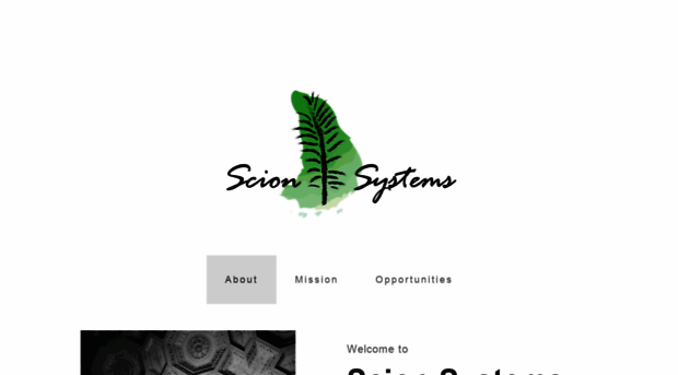 scionsystems.com