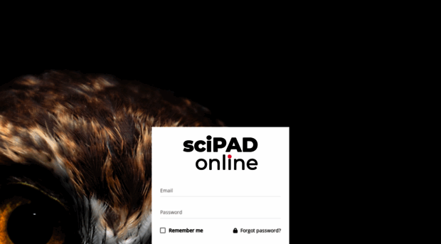 scipadonline.co.nz