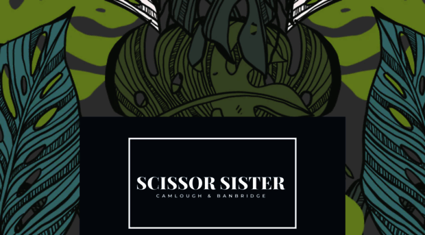 scissorsistercamlough.com