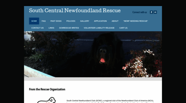 scnewfrescue.org