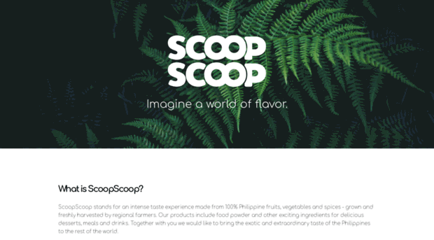 scoop-scoop.com