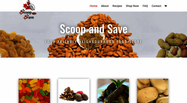 scoopandsavenl.com