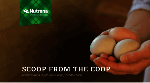 scoopfromthecoop.com