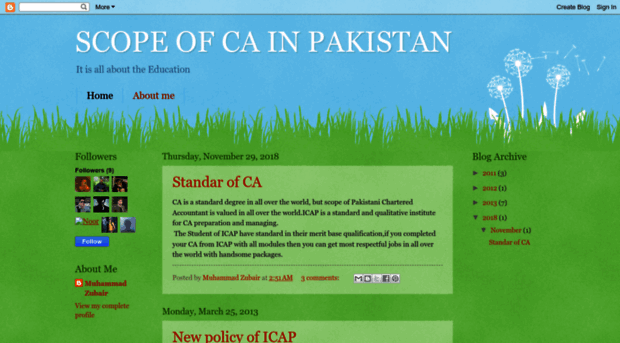 scopeofcainpakistan.blogspot.com