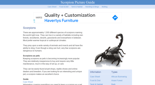 scorpionpictureguide.com