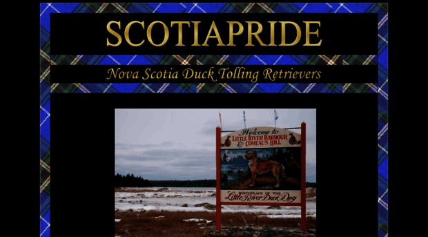 scotiapridetollers.com