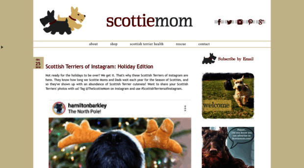 scottiemom.com