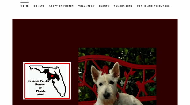 scottierescueflorida.org