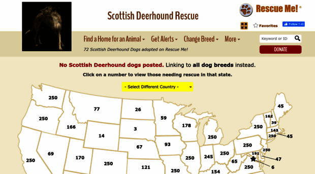 scottishdeerhound.rescueme.org