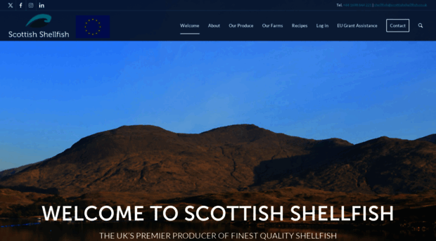 scottishshellfish.co.uk