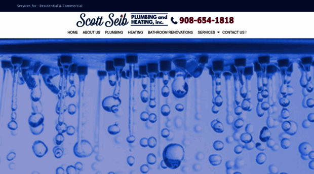 scottseibplumbing.com